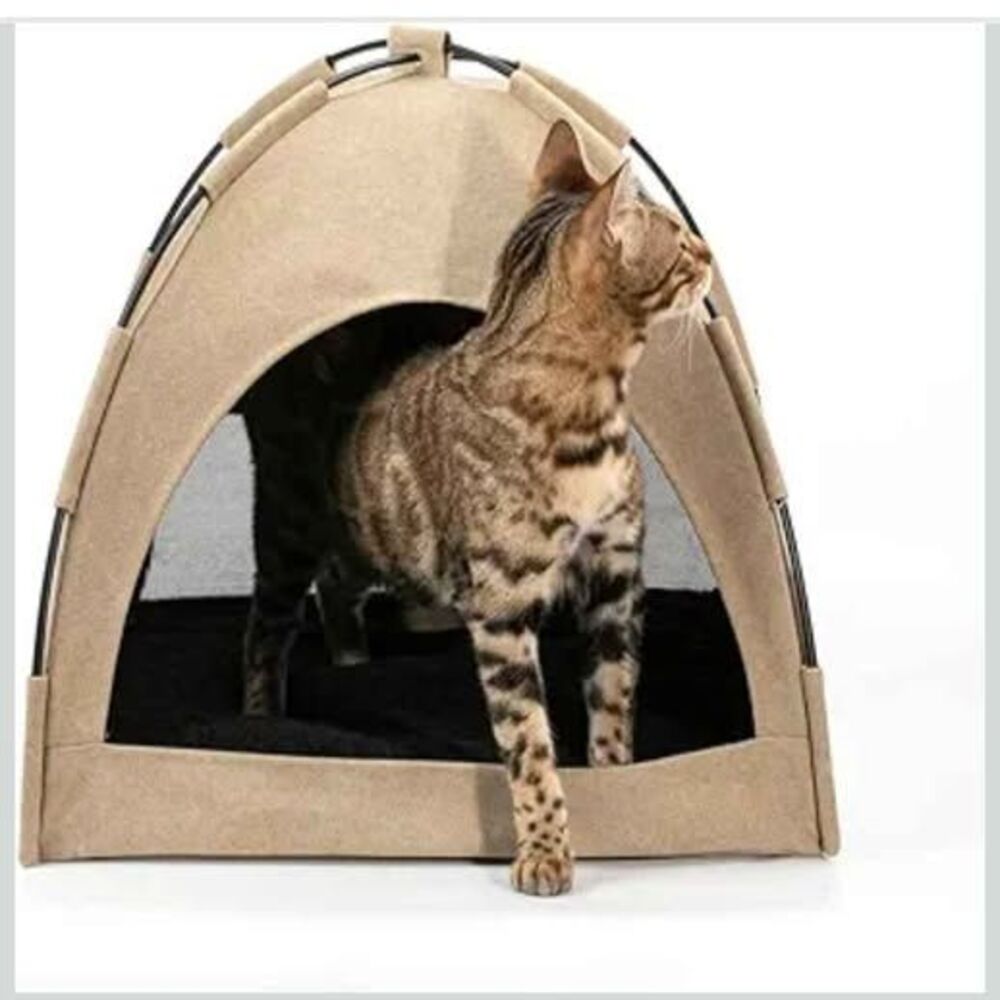 Tent cat bed